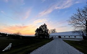Essenbaekgaard B&B
